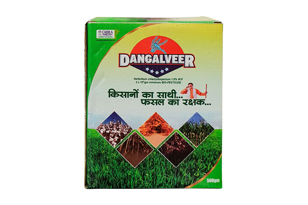 Dangalveer