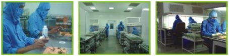 plant-Inoculation-Room