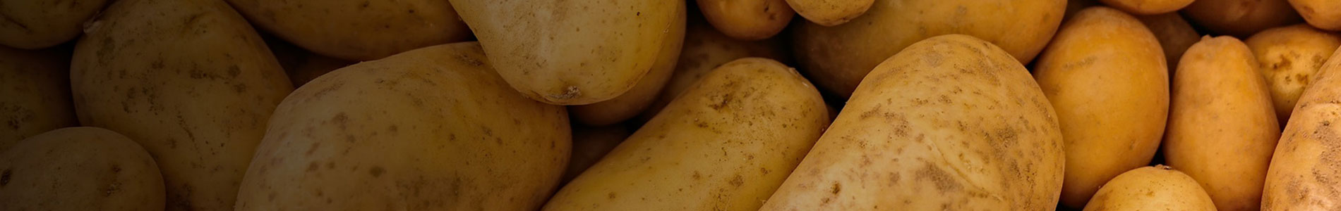 potato-tubers-banner