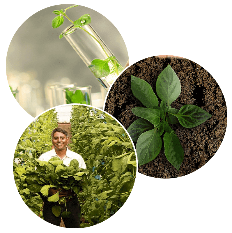 products-development