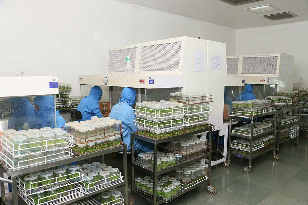 research-development