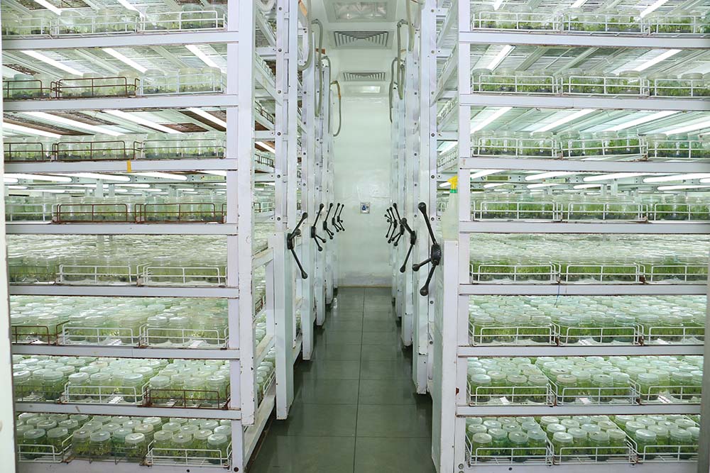 research-development